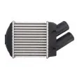 Intercooler, échangeur THERMOTEC DAR001TT - Visuel 2