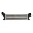 Intercooler, échangeur THERMOTEC DAR019TT - Visuel 1