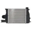 Intercooler, échangeur THERMOTEC DAR020TT - Visuel 2