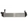 Intercooler, échangeur THERMOTEC DAR023TT - Visuel 2