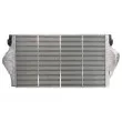 Intercooler, échangeur THERMOTEC DAR025TT - Visuel 2