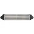 Intercooler, échangeur THERMOTEC DAV005TT - Visuel 2