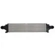 Intercooler, échangeur THERMOTEC DAV006TT - Visuel 1