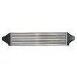 Intercooler, échangeur THERMOTEC DAV006TT - Visuel 2