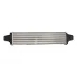 Intercooler, échangeur THERMOTEC DAV008TT - Visuel 2
