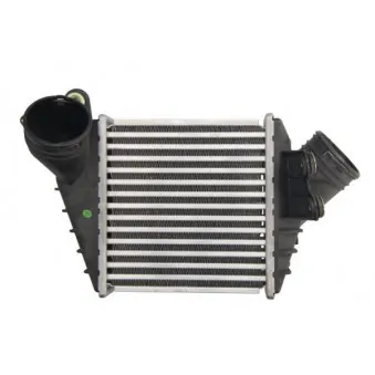 Intercooler, échangeur THERMOTEC DAW017TT