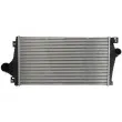 Intercooler, échangeur THERMOTEC DAX020TT - Visuel 1