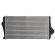 Intercooler, échangeur THERMOTEC DAX020TT - Visuel 2
