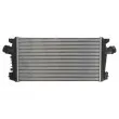 Intercooler, échangeur THERMOTEC DAX023TT - Visuel 1