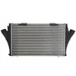 Intercooler, échangeur THERMOTEC DAX025TT - Visuel 1