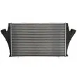 Intercooler, échangeur THERMOTEC DAX025TT - Visuel 2