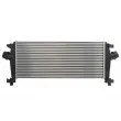 Intercooler, échangeur THERMOTEC DAX026TT - Visuel 2