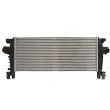 Intercooler, échangeur THERMOTEC DAX029TT - Visuel 1