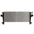 Intercooler, échangeur THERMOTEC DAX029TT - Visuel 2