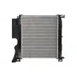 Intercooler, échangeur THERMOTEC DAY001TT - Visuel 2