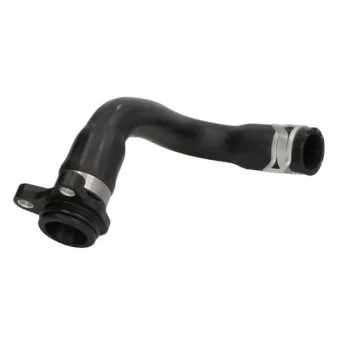 Durite de radiateur THERMOTEC DWB219TT
