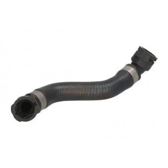 Durite de radiateur THERMOTEC DWB287TT