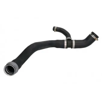 Durite de radiateur THERMOTEC DWM185TT