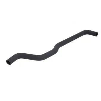 Durite de radiateur THERMOTEC DWW399TT