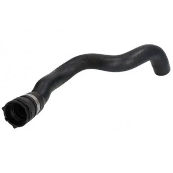 Durite de radiateur THERMOTEC DWX254TT