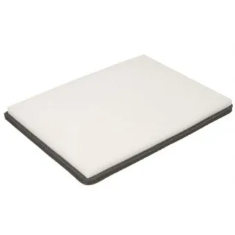 Filtre, air de l'habitacle PURRO PUR-PC9020