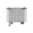 Radiateur d'huile TEKNÖR CCL-ME-017 - Visuel 3