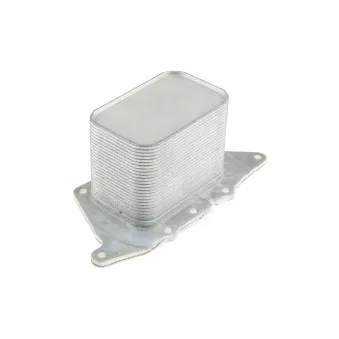 Radiateur d'huile TEKNÖR CCL-BM-025