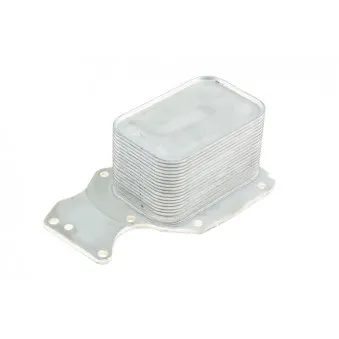 Radiateur d'huile TEKNÖR CCL-BM-024