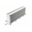 Intercooler, échangeur TEKNÖR CCL-AU-011 - Visuel 1