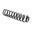Ressort de suspension avant TEKNÖR ASZ-CH-003 - Visuel 1
