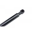 Vérin, capot-moteur TEKNÖR AE-VW-065 - Visuel 3
