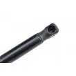 Vérin, capot-moteur TEKNÖR AE-VW-025 - Visuel 3