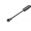 Vérin, capot-moteur TEKNÖR AE-RE-066 - Visuel 2