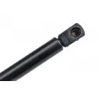 Vérin, capot-moteur TEKNÖR AE-PL-030 - Visuel 3