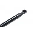 Vérin, capot-moteur TEKNÖR AE-PE-021 - Visuel 3