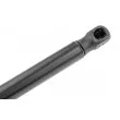 Vérin, capot-moteur TEKNÖR AE-ME-065 - Visuel 3