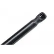 Vérin, vitre arrière TEKNÖR AE-CT-041 - Visuel 3