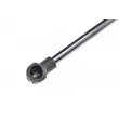 Vérin, vitre arrière TEKNÖR AE-CT-030 - Visuel 2