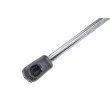Vérin, vitre arrière TEKNÖR AE-CT-008 - Visuel 2