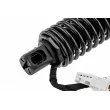 Moteur électrique, hayon arrière droit TEKNÖR AE-BM-090 - Visuel 2