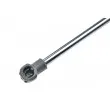 Vérin, capot-moteur TEKNÖR AE-BM-036 - Visuel 2