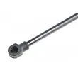 Vérin, capot-moteur TEKNÖR AE-BM-027 - Visuel 2