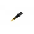 Sonde de température, liquide de refroidissement TEKNÖR ECT-BM-002 - Visuel 2