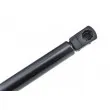Vérin, capot-moteur TEKNÖR AE-PL-035 - Visuel 3