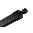 Moteur électrique, hayon arrière droit TEKNÖR AE-FR-064 - Visuel 3