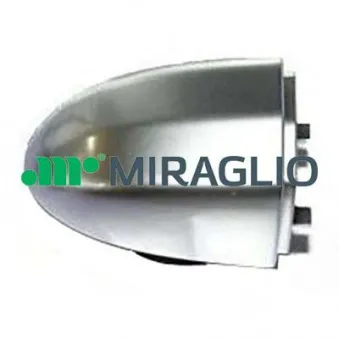 Poignet de porte, équipment intérieur avant droit MIRAGLIO 80/898