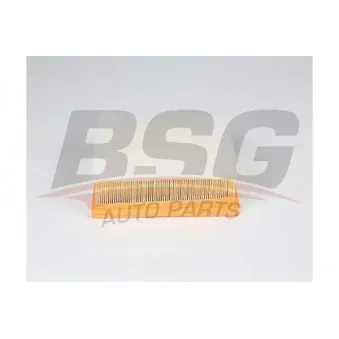 Filtre à air BSG BSG 15-135-017