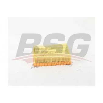Filtre à air BSG BSG 15-135-018