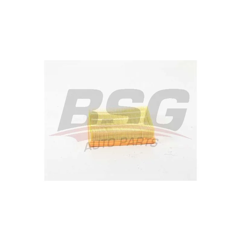 Filtre à air BSG BSG 15-135-018