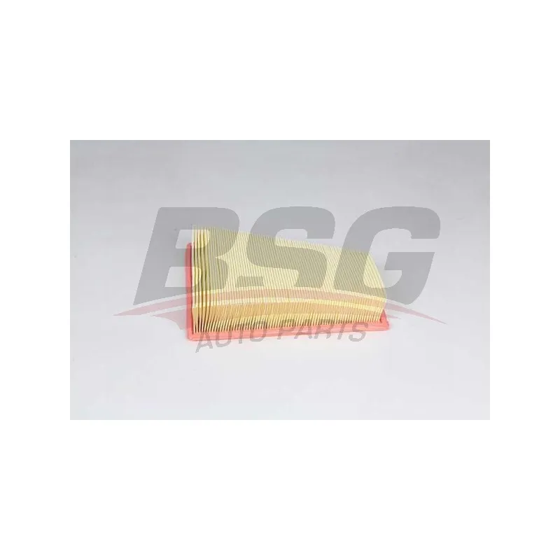Filtre à air BSG BSG 15-135-019